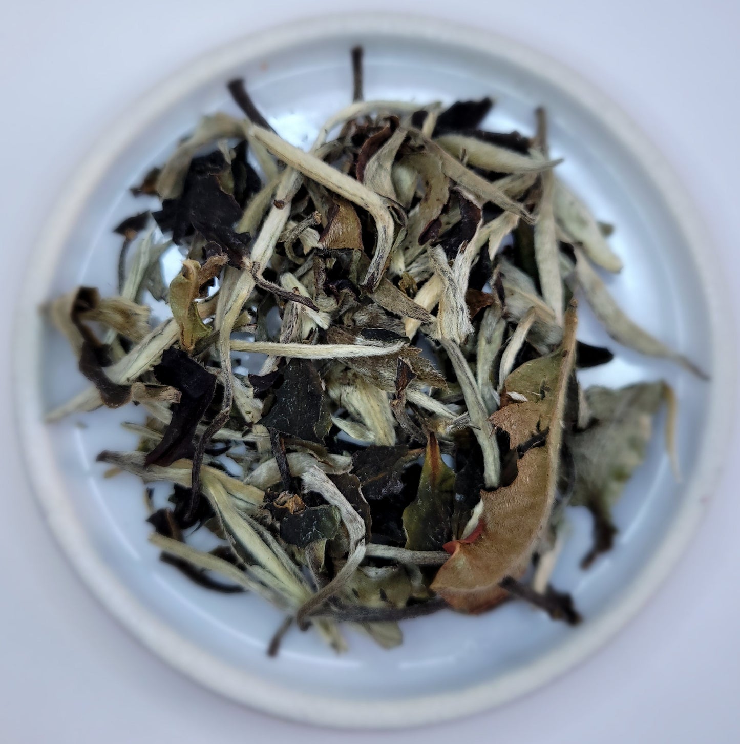 Silver Moonlight Wild White Tea