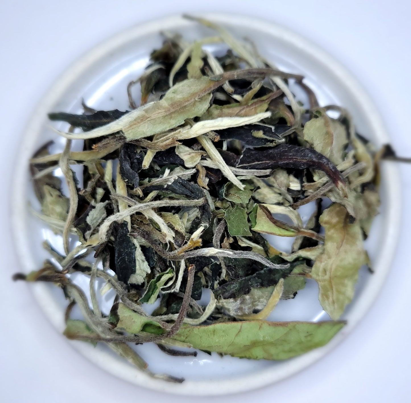 Pai Mu Tan White Tea