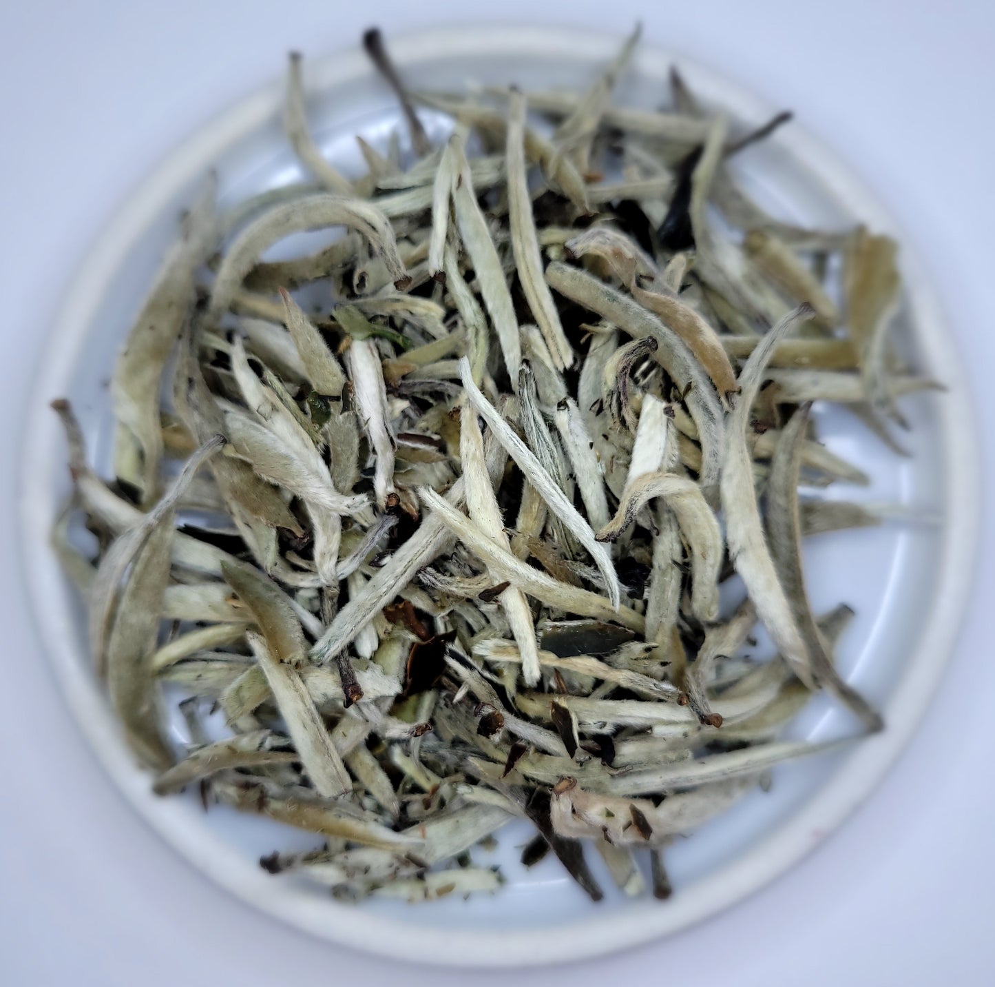 Silver Needle White Tea