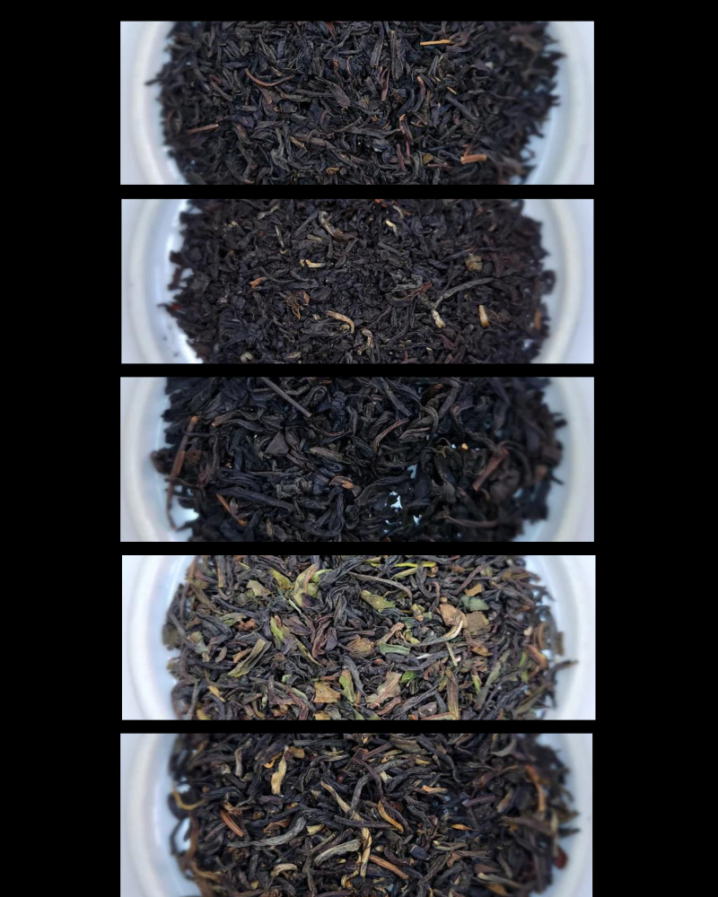 Single Note Black Tea Sampler